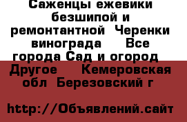 Саженцы ежевики безшипой и ремонтантной. Черенки винограда . - Все города Сад и огород » Другое   . Кемеровская обл.,Березовский г.